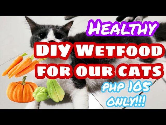 CHEAPEST DIY WET FOOD FOR OUR CATS | HEALTHY CAT FOOD | TIPID HOMEMADE CAT WET FOOD