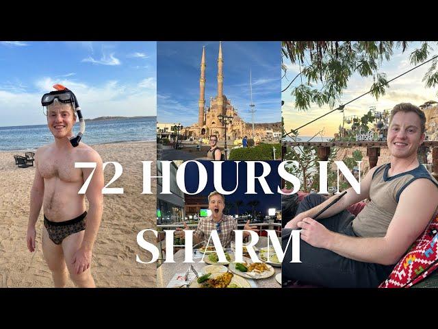 72 Hours in Sharm El Sheikh: Snorkeling, Camping, Resorts, Seafood, and more!