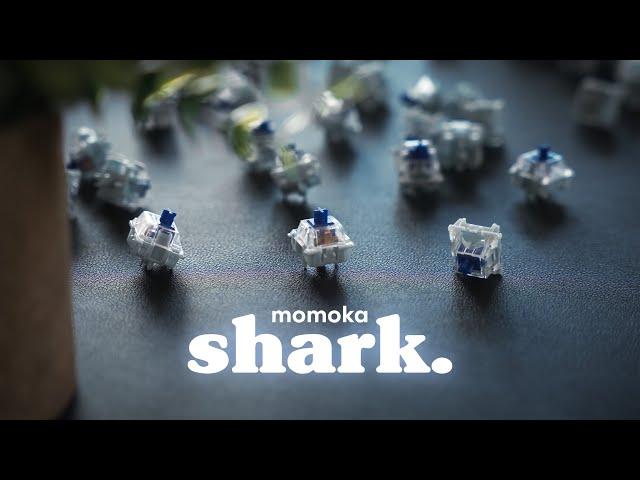 Good Weird or Bad Weird? - Momoka Shark Tactile Review