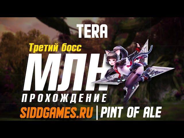 TERA Мастерская Леандра. Прохождение