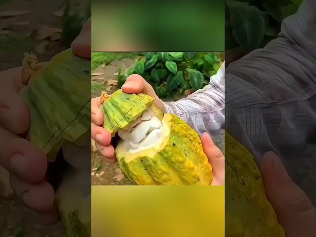 The Real Way to Cut Fruit