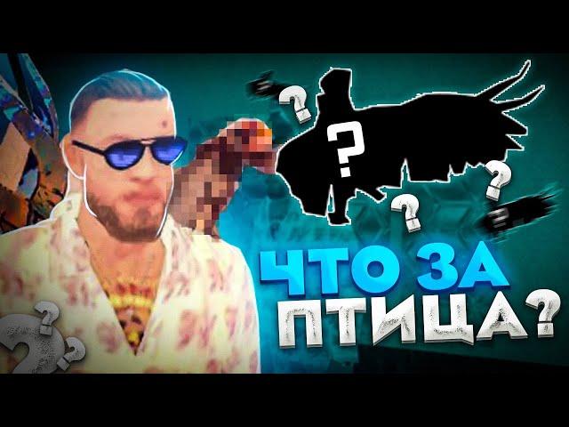 АКССЕСУАР ЗА 45.000.000?! Вылупление яиц, Инкубатор • Mordor RP / Мордор РП