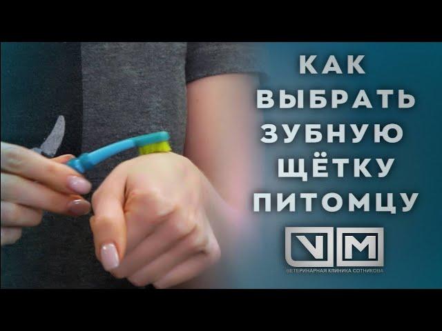 Как выбрать зубную щётку питомцу