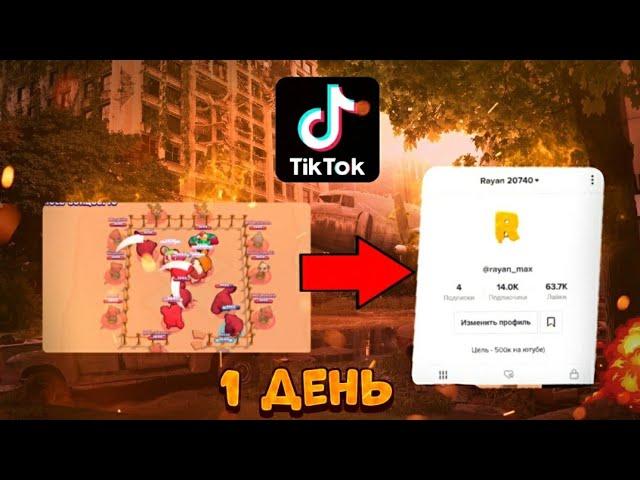 СКОЛЬКО ПОДПИСЧИКОВ Я НАБЕРУ В ТИКТОК ЗА 1 ДЕНЬ? ЭКСПЕРИМЕНТ BRAWL STARS