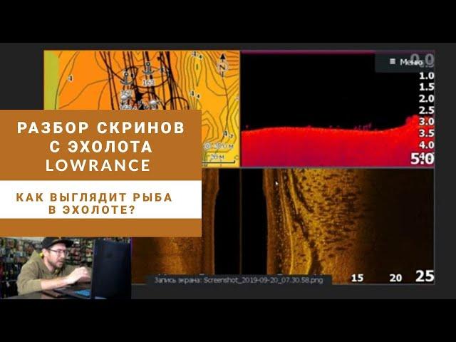 Как выглядит рыба в эхолоте? Разбор скринов с эхолота Lowrance HDS Live 9", Elite Ti2 9".