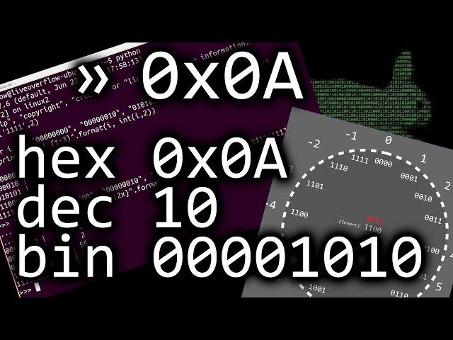 The deal with numbers: hexadecimal, binary and decimals - bin 0x0A