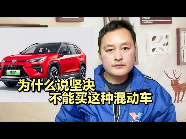 为什么说不建议买这种混动车，两个重要缺点，很多车主买完就后悔【车二哥说车】