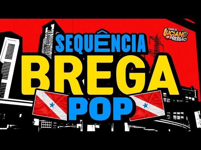 ️ SEQUÊNCIA DE BREGA POP ️ AS MELHORES DO ESTADO DO PARÁ    @ovaqueirodjluciano23 #bregapop