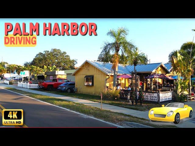 Palm Harbor Florida Driving Through