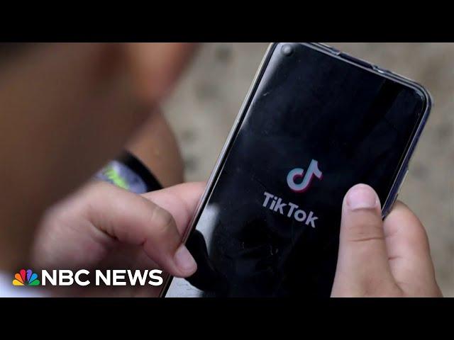 How Trump could decline to enforce a Congressional-enacted TikTok ban