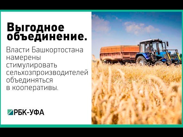 Минсельхоз РБ: потенциал роста продукции АПК заключен в развитии корпорации