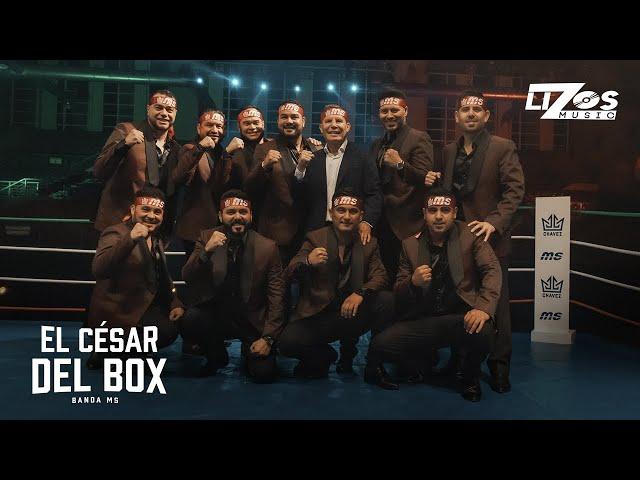 Banda MS de Sergio Lizárraga – El César del Box (Video Oficial)