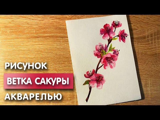 Как нарисовать ветку сакуры карандашом и акварелью начинающим | Рисунок для детей