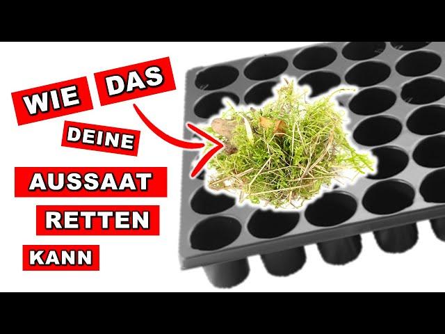  NACHBARN waren VERWUNDERT  Jetzt macht das JEDER! GENIALE Idee für QuickPots - Aussaaten Im März