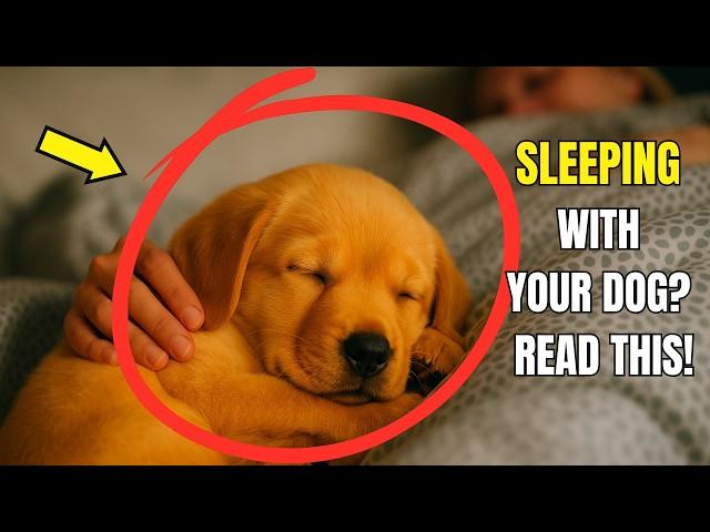 If You SLEEP WITH YOUR DOG Every Night, Then This Will Happen!