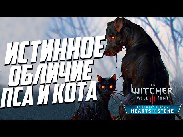 Истинное обличие пса и кота Ведьмак 3 | 15 Тайн и Секретов DLC «Каменные сердца» - часть 4