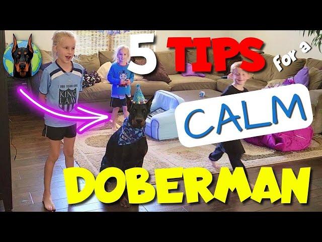 How to Raise a Calm Doberman—5 Tips That WORK