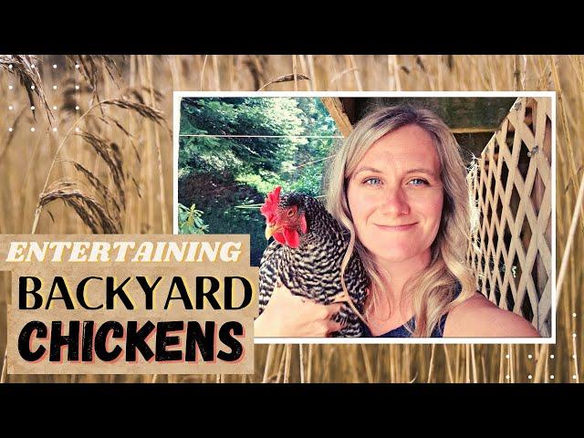 How to entertain your chickens | Bored Chickens | Chicken Boredom Busters