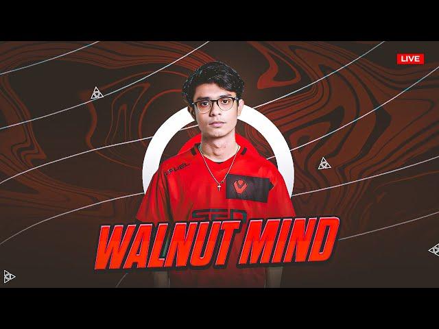 Evening Grind Chalu karte hai!! || Act Rank Immortal 3 || Valorant Live India