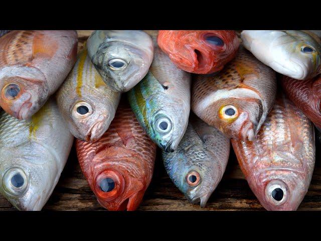 12 Cheap Fish You Should Absolutely Never Eat