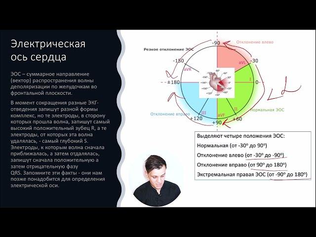 ЭКГ за 100 минут №2: Наложение электродов. Электрическая ось сердца (ЭОС)