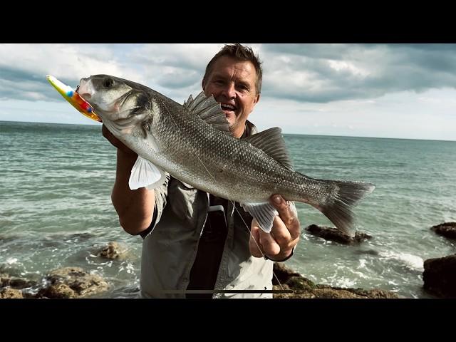 THIS is the Best Bass Lure to use in these conditions