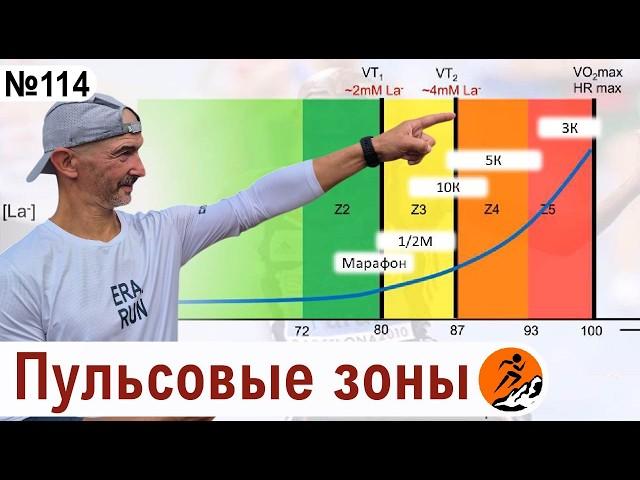 О сложном простыми словами: Пульсовые зоны – что это такое и  как определить самому?