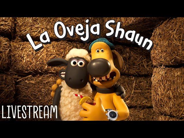 La Oveja Shaun LIVE STREAM