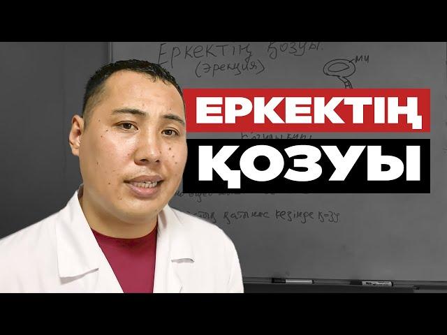 Еркек неден қатты қозады? (Пор*о, Әйел, Түс) Еркектің қозуы - эрекция. Жыныстық қатынас.