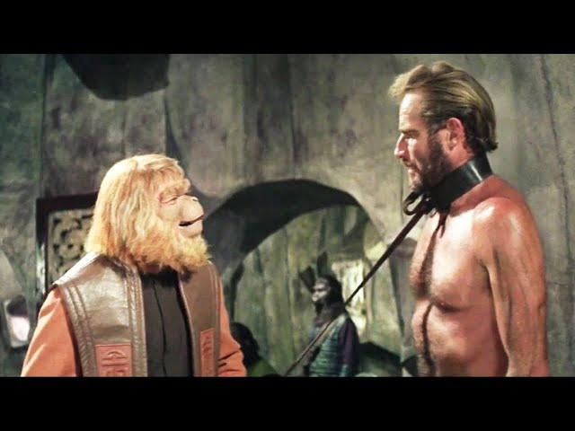 On Another Planet, Apes Are Bosses, And Humans Are Slaves | Movie Recap