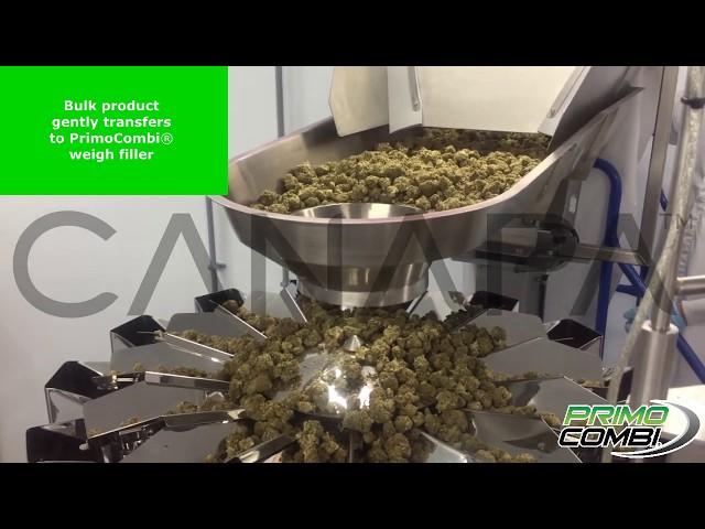 Canapa Solutions | Cannabis Packaging Machine for Weigh Filling Into Containers