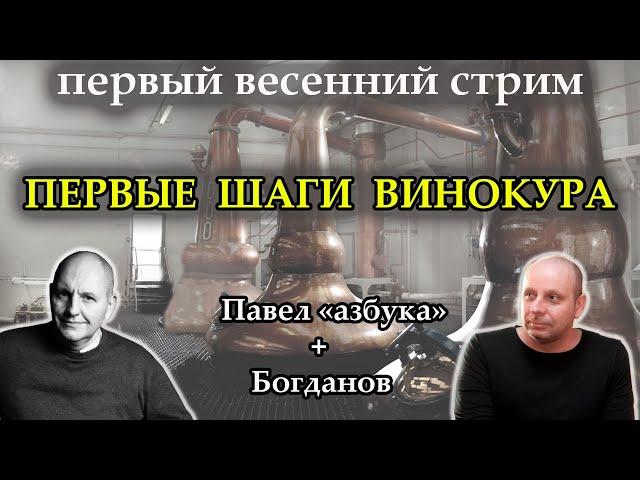 Стрим №12. Первый весенний стрим. Павел (азбука) и Олег Богданов