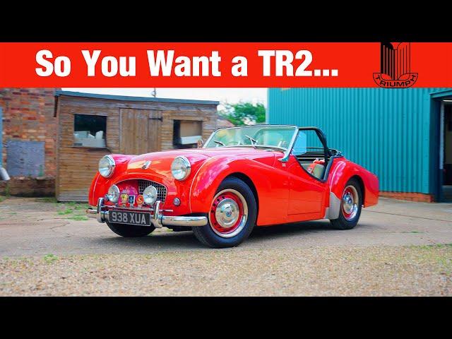 Triumph TR2 Buyers Guide - All You Need to Know On The FIRST Triumph Sports Car!