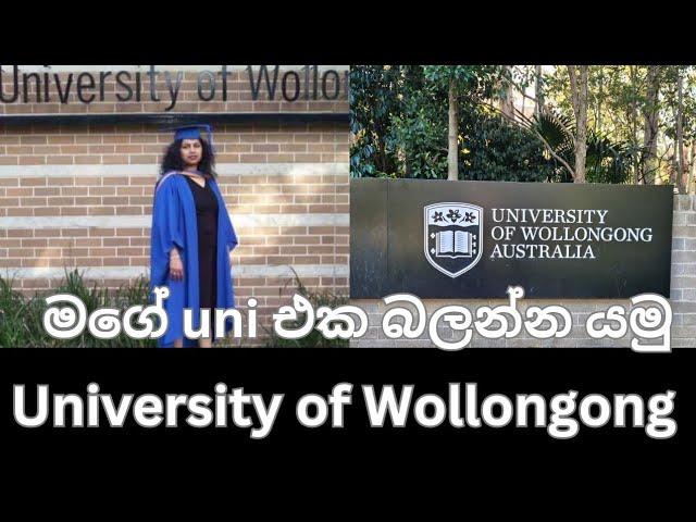 University of Wollongong NSW Australia|Uni tour|Accommodation|Shuttle buses|child care|parking