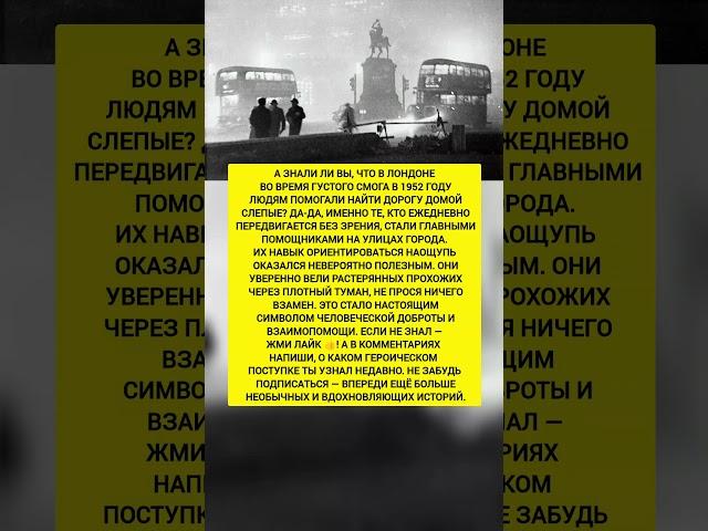 Слепые вывели людей из тумана! Удивительные факты и реальная история. #история #факты #тренды