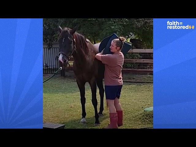 Horse Saves His Mom's Life By Running To Get Dad| The Dodo Faith = Restored