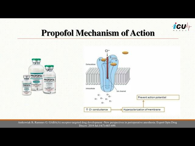 Sedative Agents in the ICU