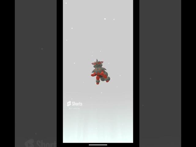 Pokémon GO - 175 - Evolve Growlithe to Arcanine #pokemon #gaming #shorts