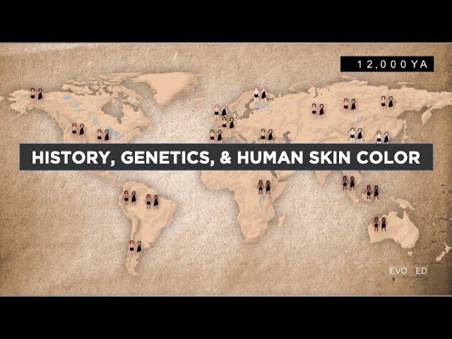 Evo-Ed: History, Genetics, and Human Skin Color