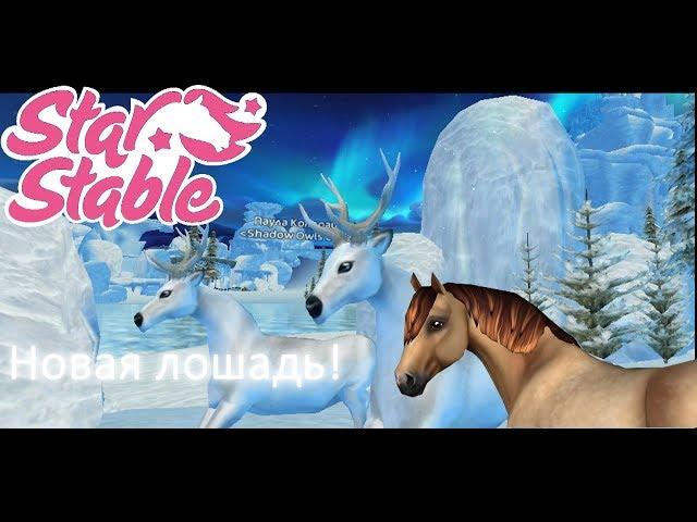 Star Stable-Покупка лошади Коннемара!Новые олени!Расширение локации