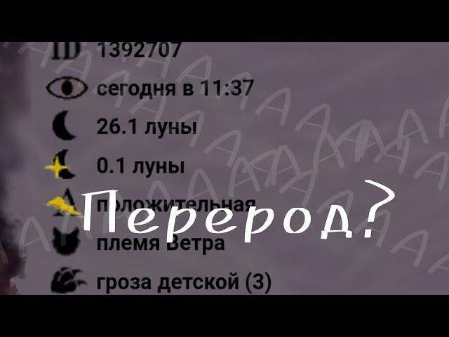 Перерождение!?|| Куда занесло? || CatWar