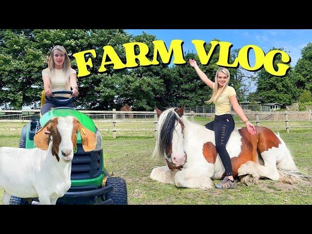 ESCAPING GOATS & BACK ON THE FARM | VLOG | LilPetChannel