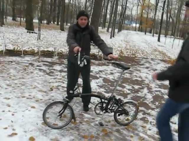 Russian bear Mikheeff rides a bicycle Brompton.