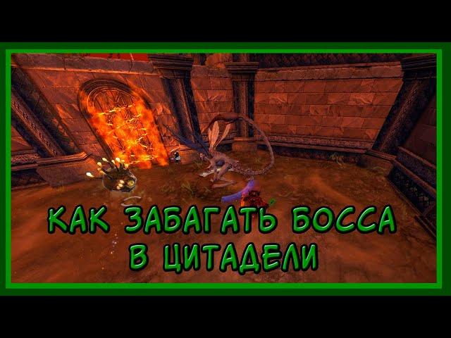 КАК забагать БОССА в Цитадели - НЕВРВИНТЕР/ NEVERWINTER - HOW to bug the BOSS in the Citadel