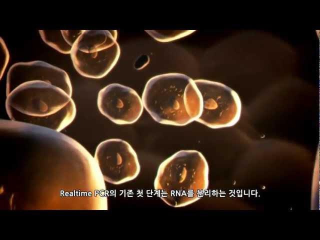 Ambion® Cells-to-CT™ 로 간단하고 신속한 Realtime PCR을!