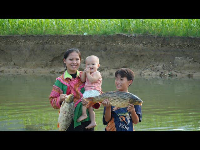 Catching Big Fish After Typhoon Yagi - Meeting the Orphan Boy Again | Ly Tieu Ca