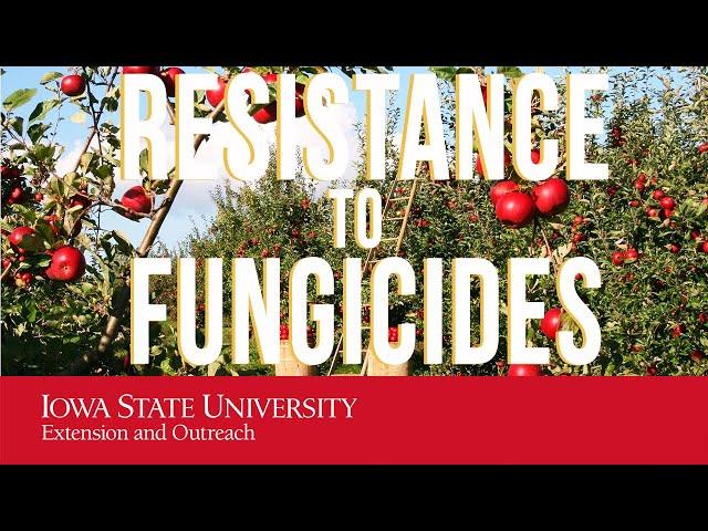 Resistance to Fungicides