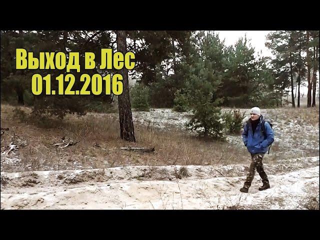 Поход в первый день зимы с Vladdndz 01.12.2016