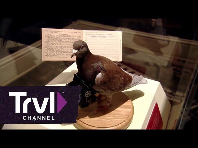 International Spy Museum | Travel Channel