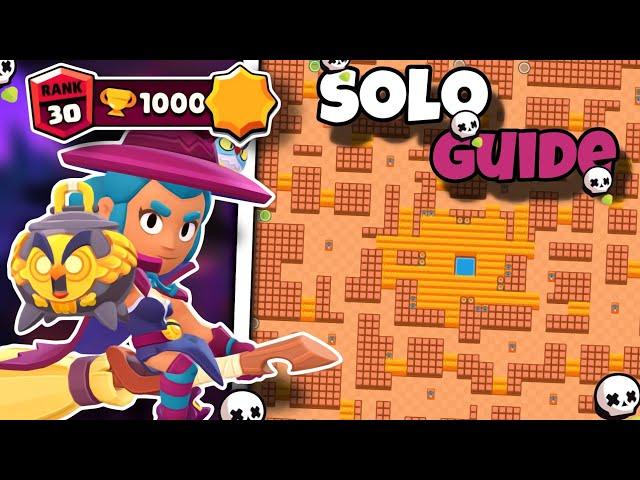 The Only Shelly Guide You"ll Ever Need